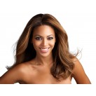 Deluxe clip in haar 50cm Deluxe clip in haar 50cm